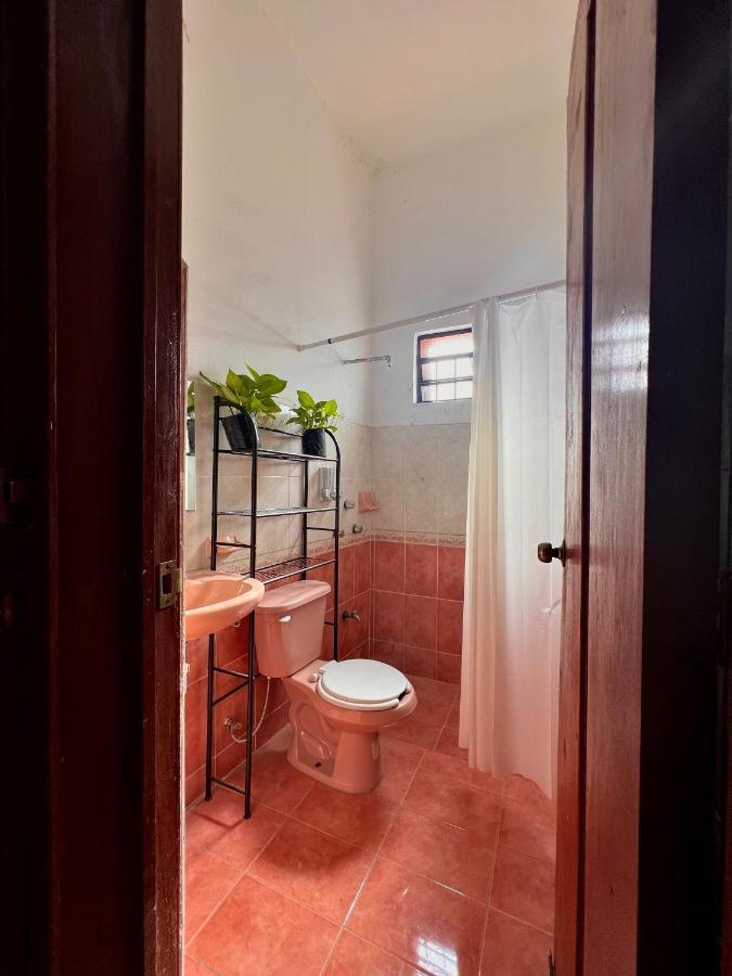 Alena Hostal Valladolid  Dış mekan fotoğraf
